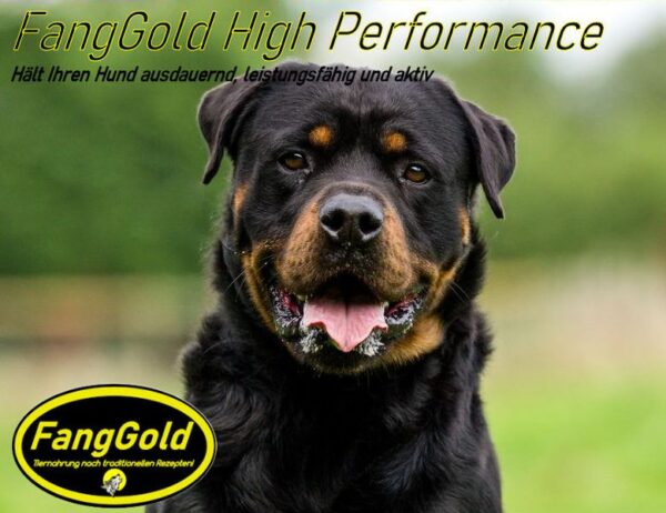 FangGold High Performance 15 kg – Bild 4