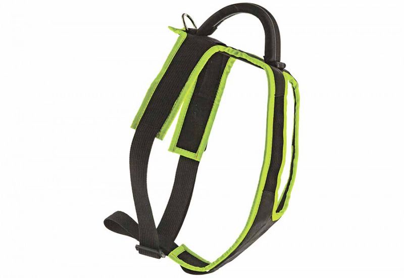 Geschirr für Welpen & Junghunde - Image 4