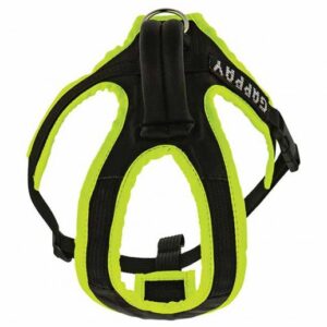 Geschirr f&uuml;r Welpen & Junghunde