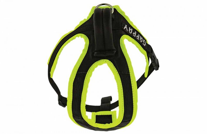 Geschirr für Welpen & Junghunde