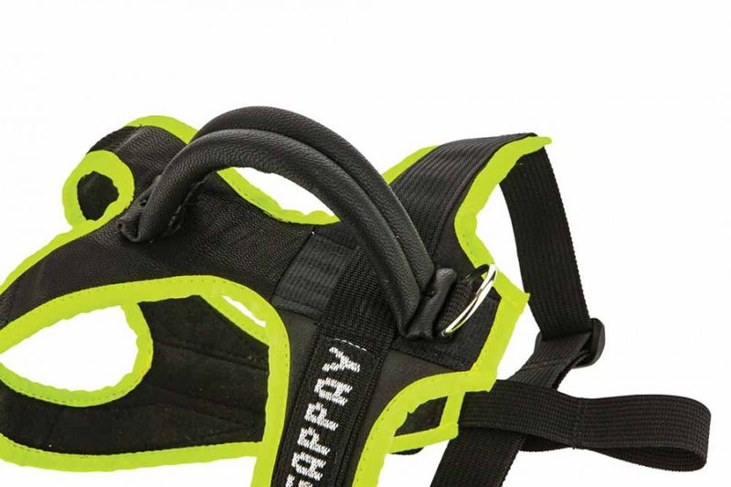 Geschirr für Welpen & Junghunde - Image 2